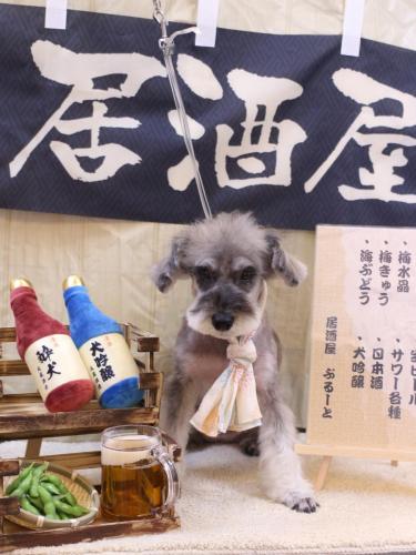 20240608ラーラちゃん